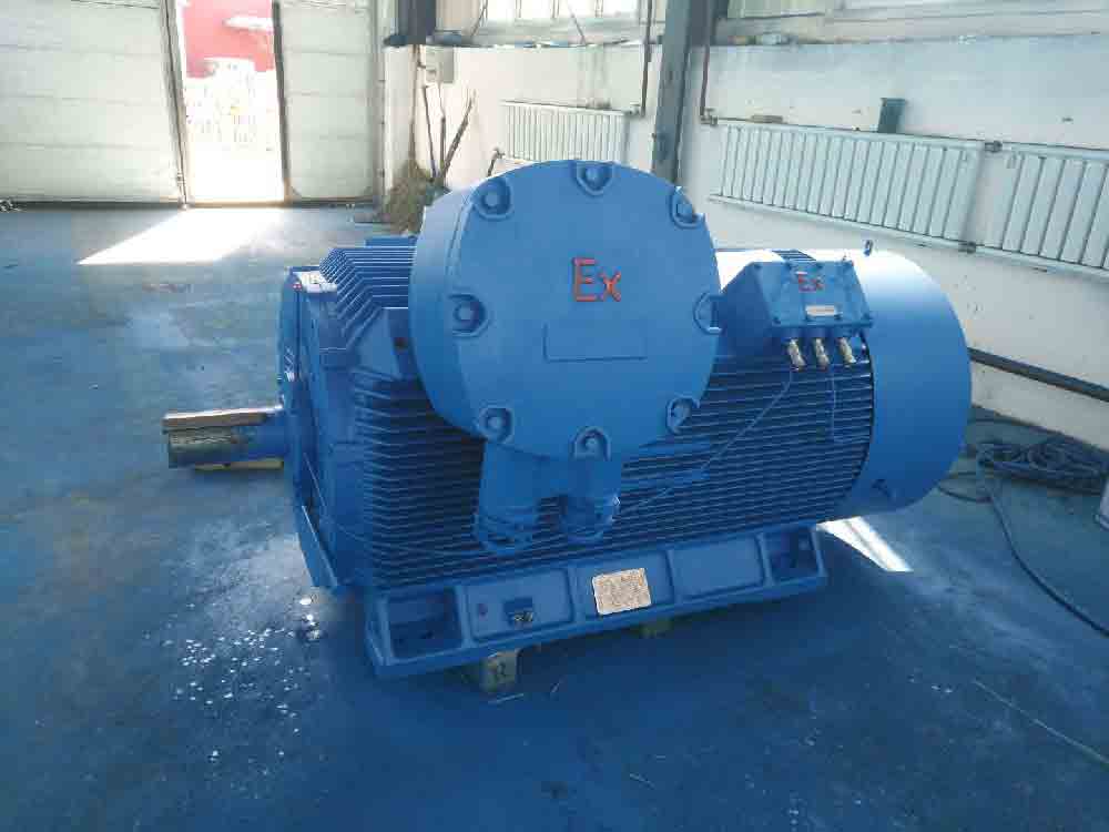 YB2系列高壓三相異步電動(dòng)機(jī)