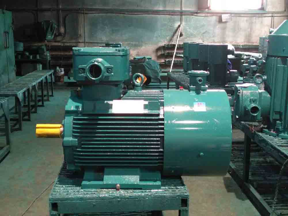 YBPT系列防爆變頻調(diào)速三相異步電動(dòng)機(jī)